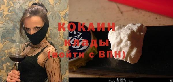 молекула духа Козельск