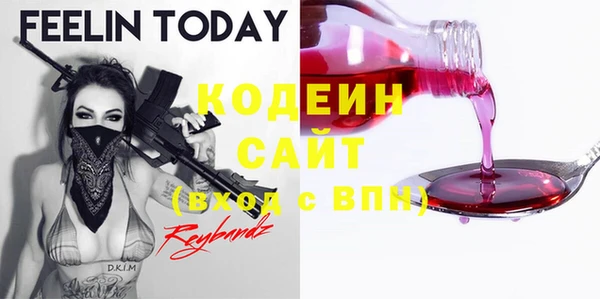 молекула духа Козельск