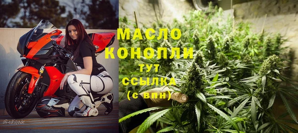 молекула духа Козельск