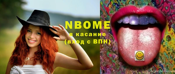молекула духа Козельск