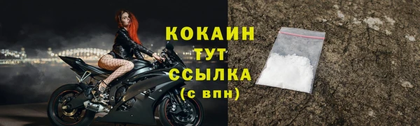 молекула духа Козельск