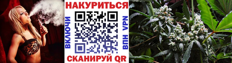 Бошки марихуана гибрид  Орехово-Зуево 